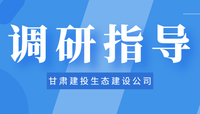 党委书记、董事长张丰川深入酒泉市肃州区城市基础设施提升项目调研指导工作